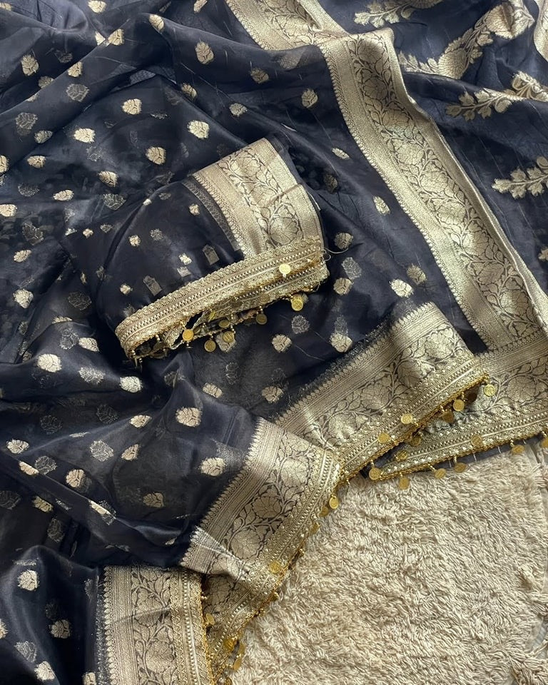 Maharani Black Banarasi Saree